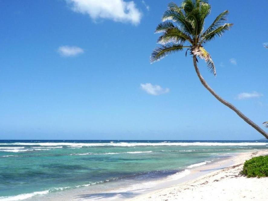 פונטה קאנה Caribbean Studios Tropicana With Pool - Playa Los Corales מראה חיצוני תמונה