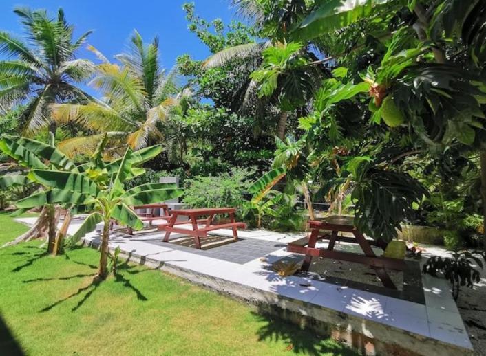 פונטה קאנה Caribbean Studios Tropicana With Pool - Playa Los Corales מראה חיצוני תמונה